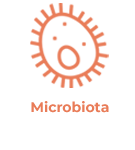 Microbiota